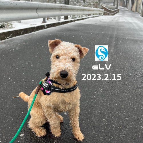 Web3の話をしよう！ #8 (DAO体験編) POAP image