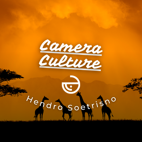 WHALE FM - Camera Culture with Hendro Soetrisno POAP image