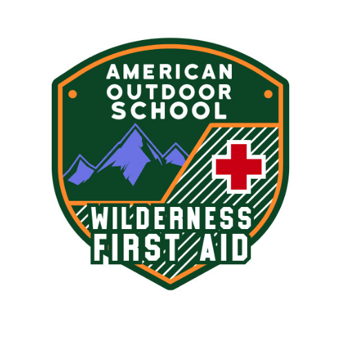 Wilderness First Aid POAP image