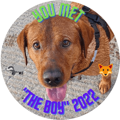 You met Badger in 2022 POAP image