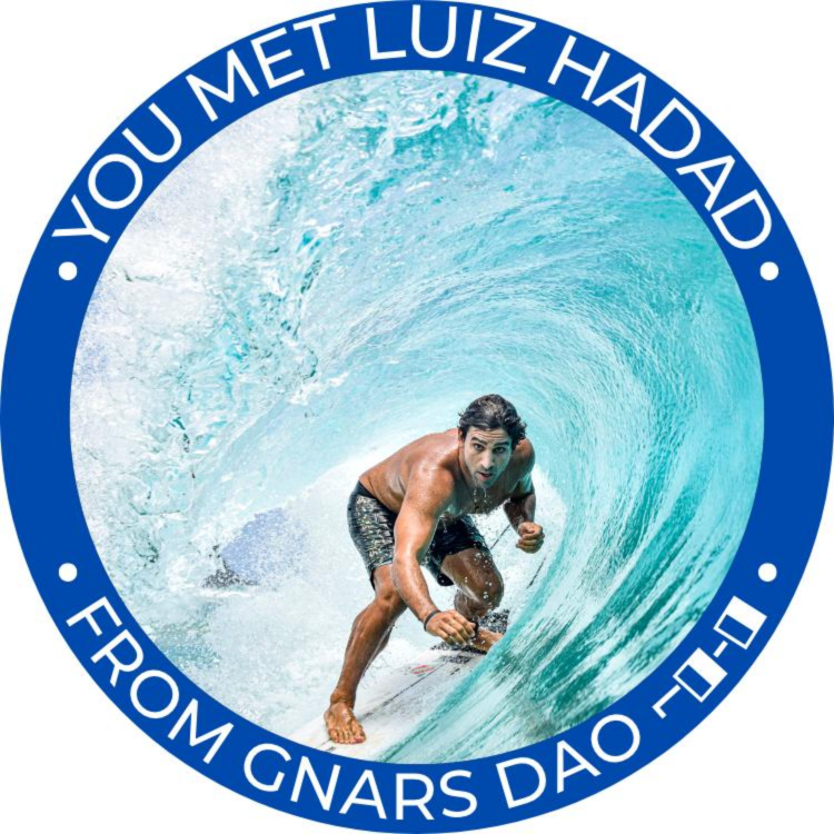 You met Luiz Hadad from Gnars DAO POAP image