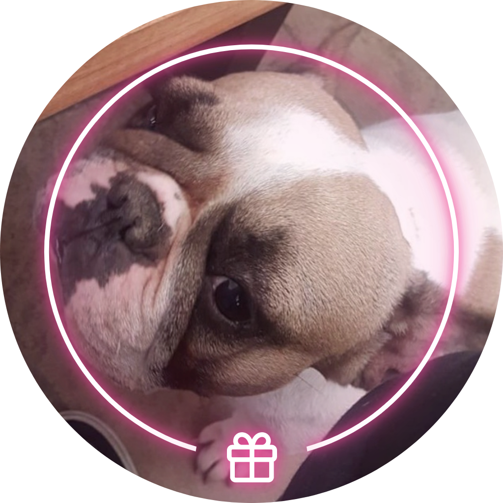 You were part of luio's Birthday Celebration - December 2022 POAP image